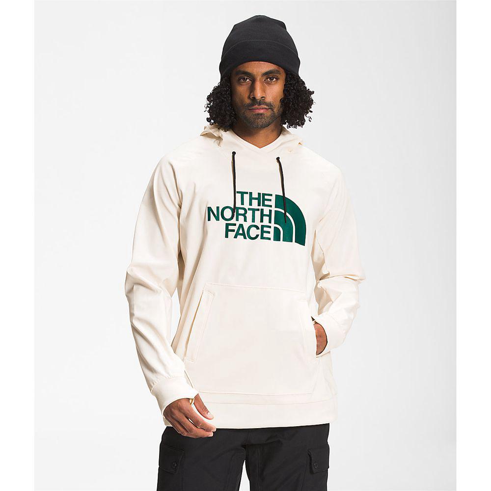The North Face Tekno Logo Ανδρικα Φούτερ Hoodie - Ασπρα (ZJFA56193)